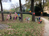 IMG-6731